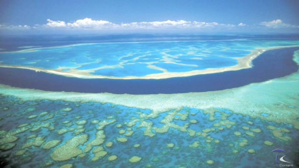 grande barriera corallina